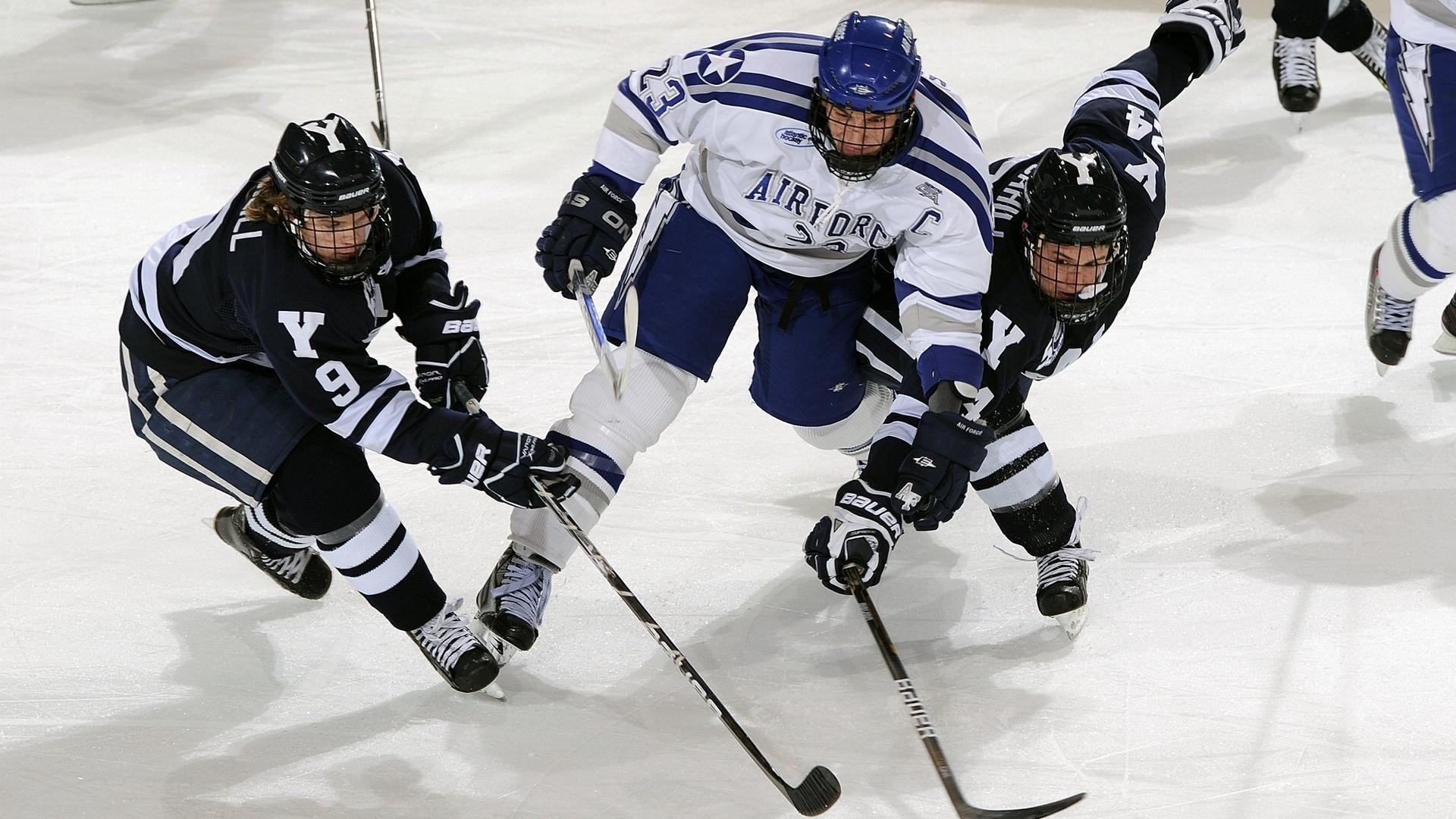 赛场外的激情：粉丝们的WRC狂欢派对与精彩瞬间